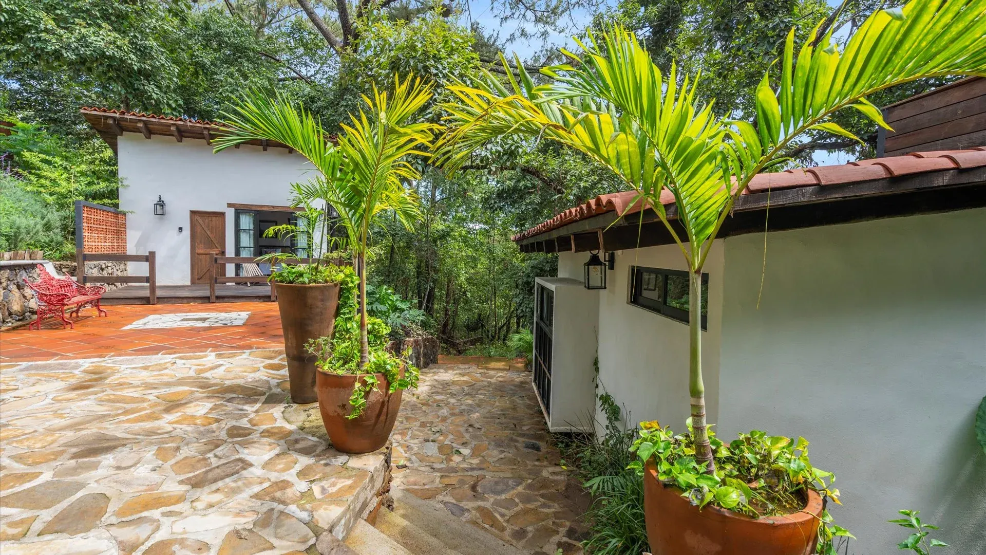 Finca Mamatina 3